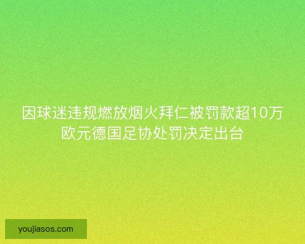 因球迷违规燃放烟火拜仁被罚款超10万欧元德国足协处罚决定出台