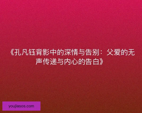 《孔凡钰背影中的深情与告别：父爱的无声传递与内心的告白》